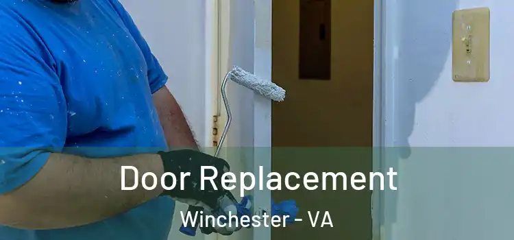  Door Replacement Winchester - VA