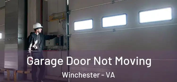  Garage Door Not Moving Winchester - VA