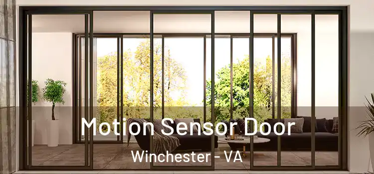  Motion Sensor Door Winchester - VA