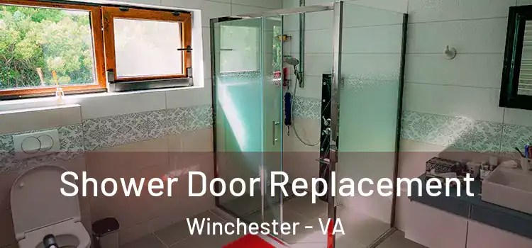  Shower Door Replacement Winchester - VA