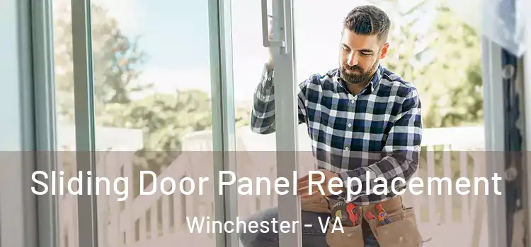  Sliding Door Panel Replacement Winchester - VA
